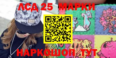 дмт Славгород